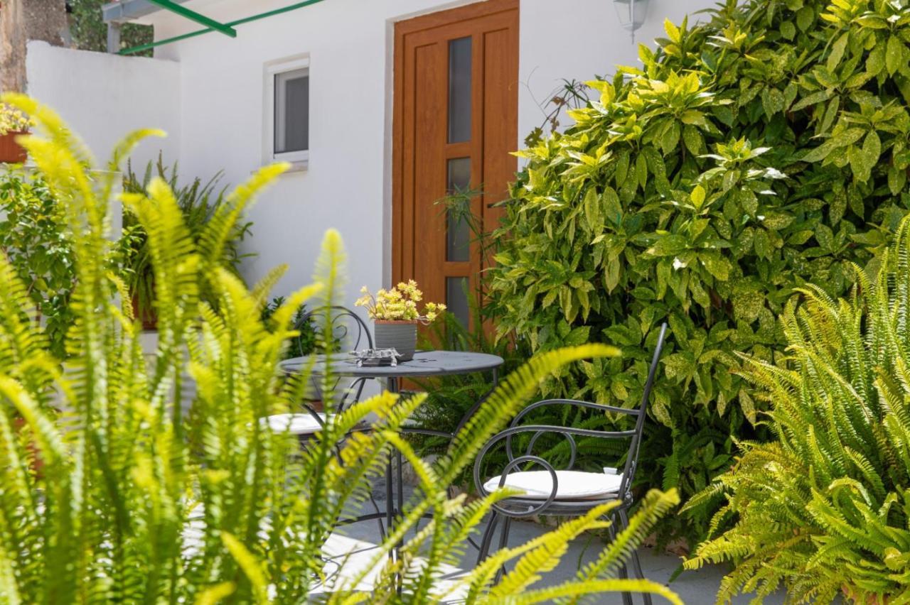 Apartments Jelena Supetar - Four Apartments - A Small House With A Private Yard - Two-Room Apartment With A Sea View - Studio Apartment - Two-Room Apartment With Garden View- Free Parking Esterno foto