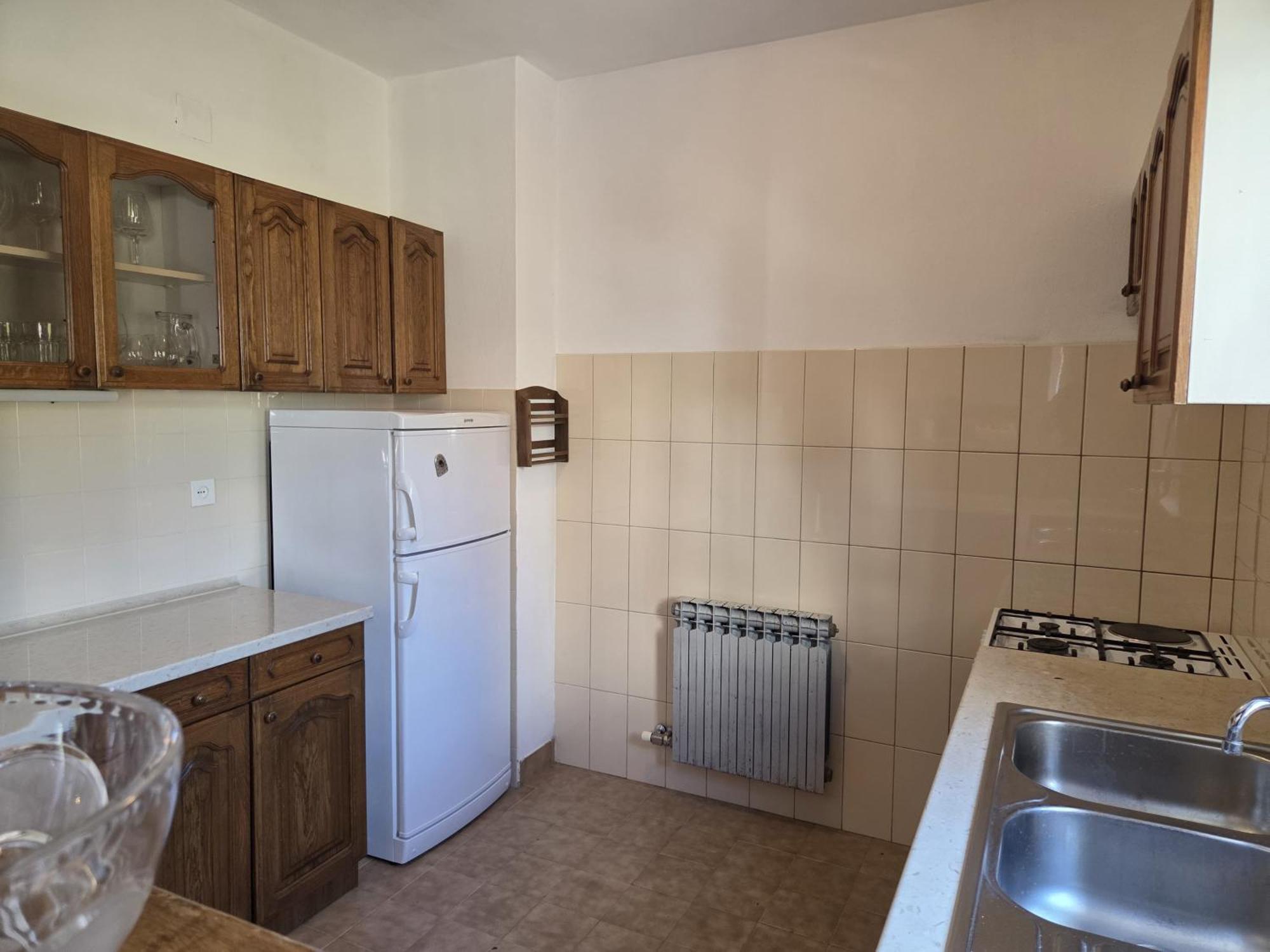Apartments Jelena Supetar - Four Apartments - A Small House With A Private Yard - Two-Room Apartment With A Sea View - Studio Apartment - Two-Room Apartment With Garden View- Free Parking Esterno foto