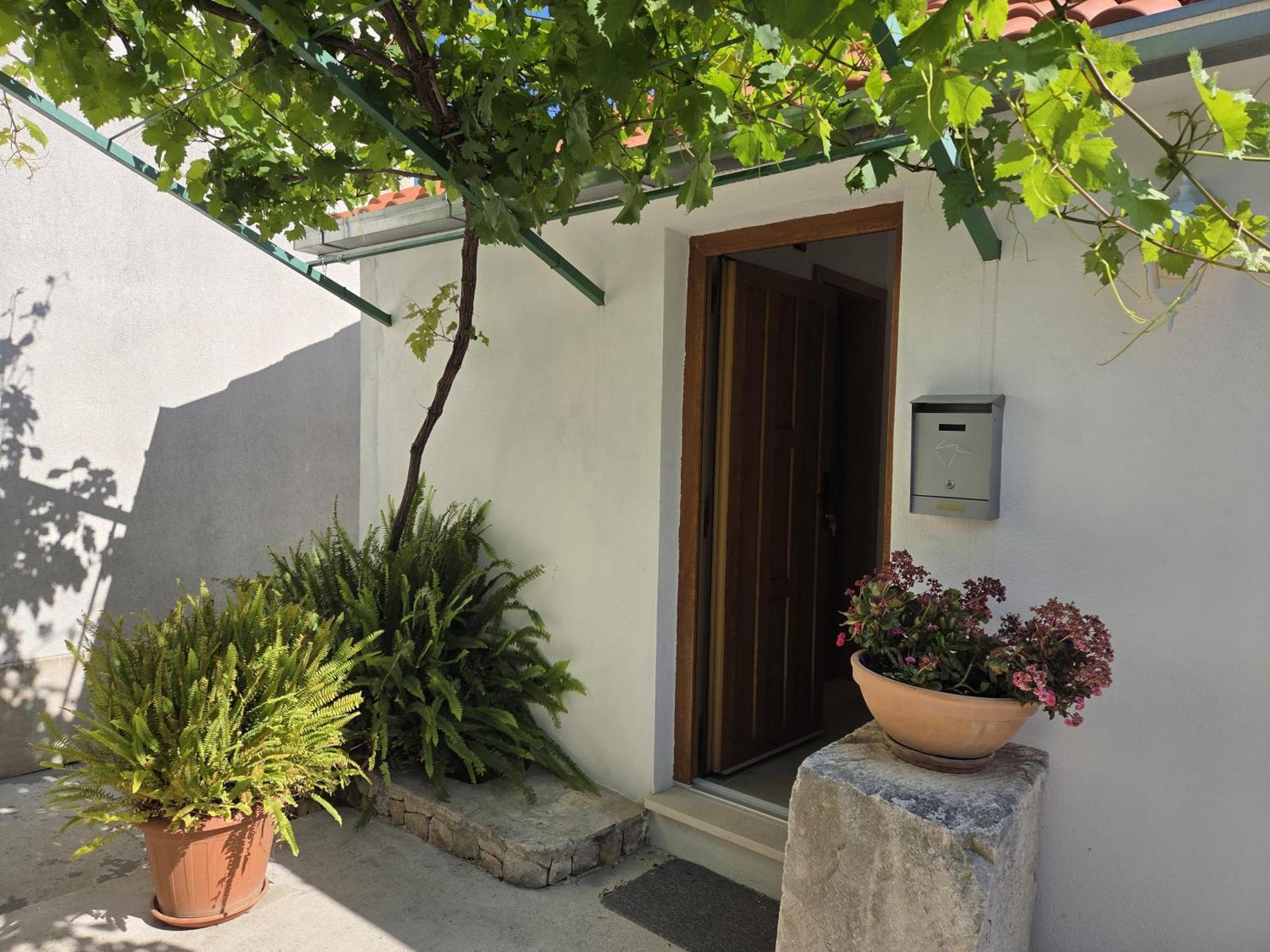 Apartments Jelena Supetar - Four Apartments - A Small House With A Private Yard - Two-Room Apartment With A Sea View - Studio Apartment - Two-Room Apartment With Garden View- Free Parking Esterno foto